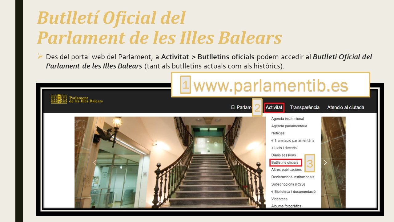 Explicació de l'accés als BOPIB publicats